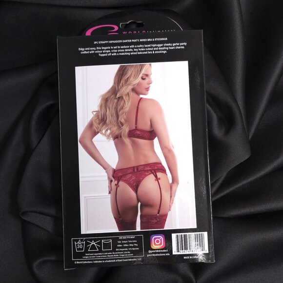 Sexy Lace Lingerie Set for Women Strappy Garter Panty, Wired Bra & Stockings - Picture 3 of 6